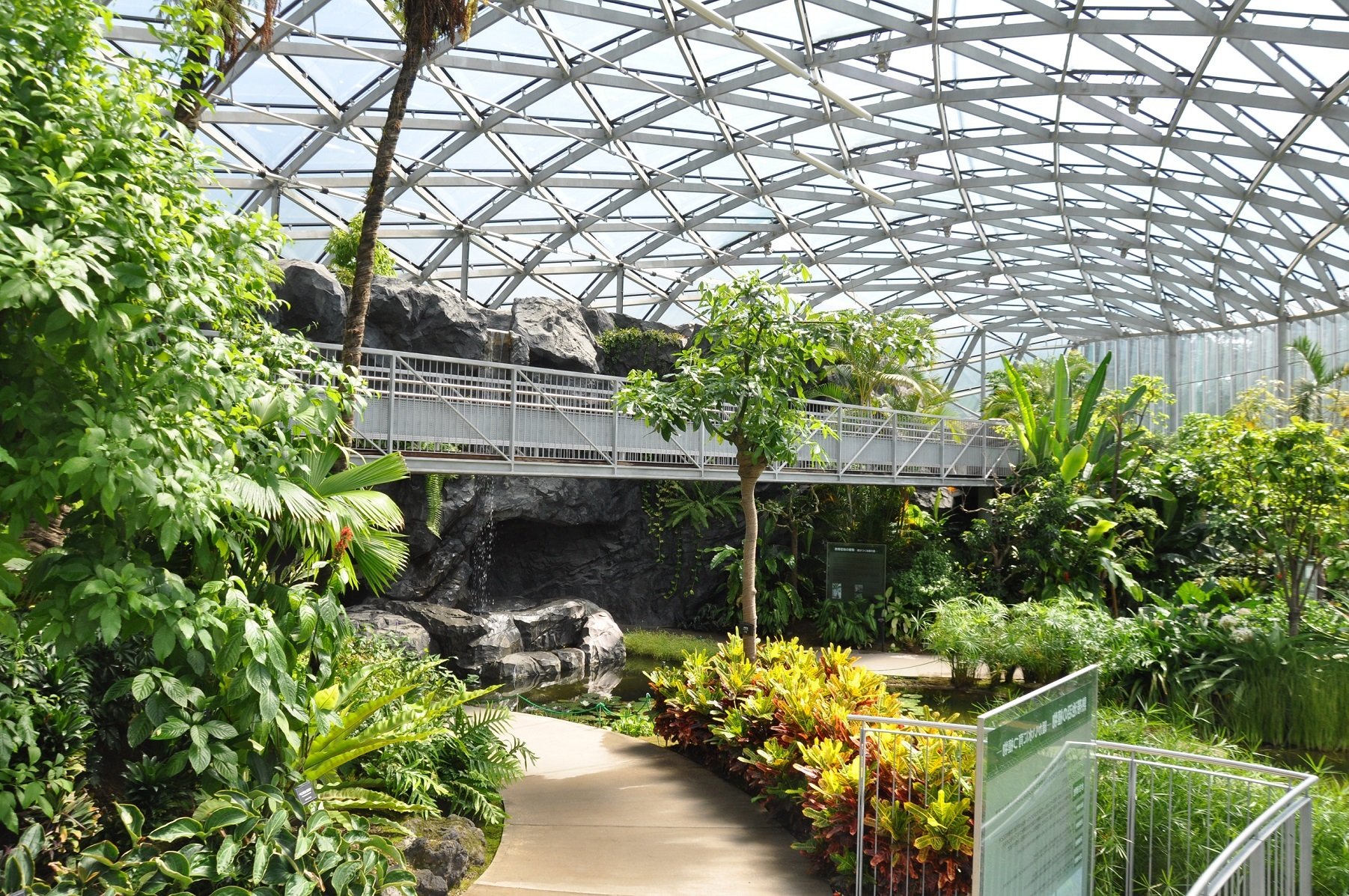 🌿 도쿄도 약용식물원 (도쿄토 야쿠요 쇼쿠부츠엔) 이미지 4